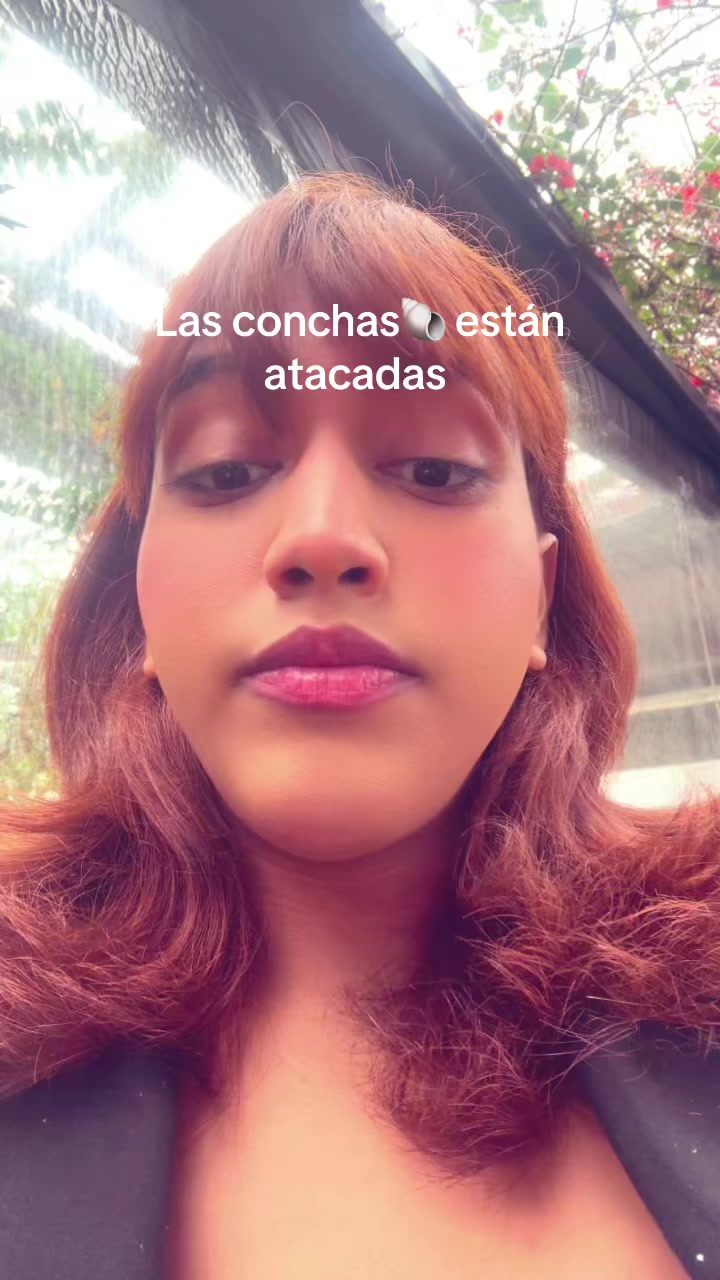 @valenblazee