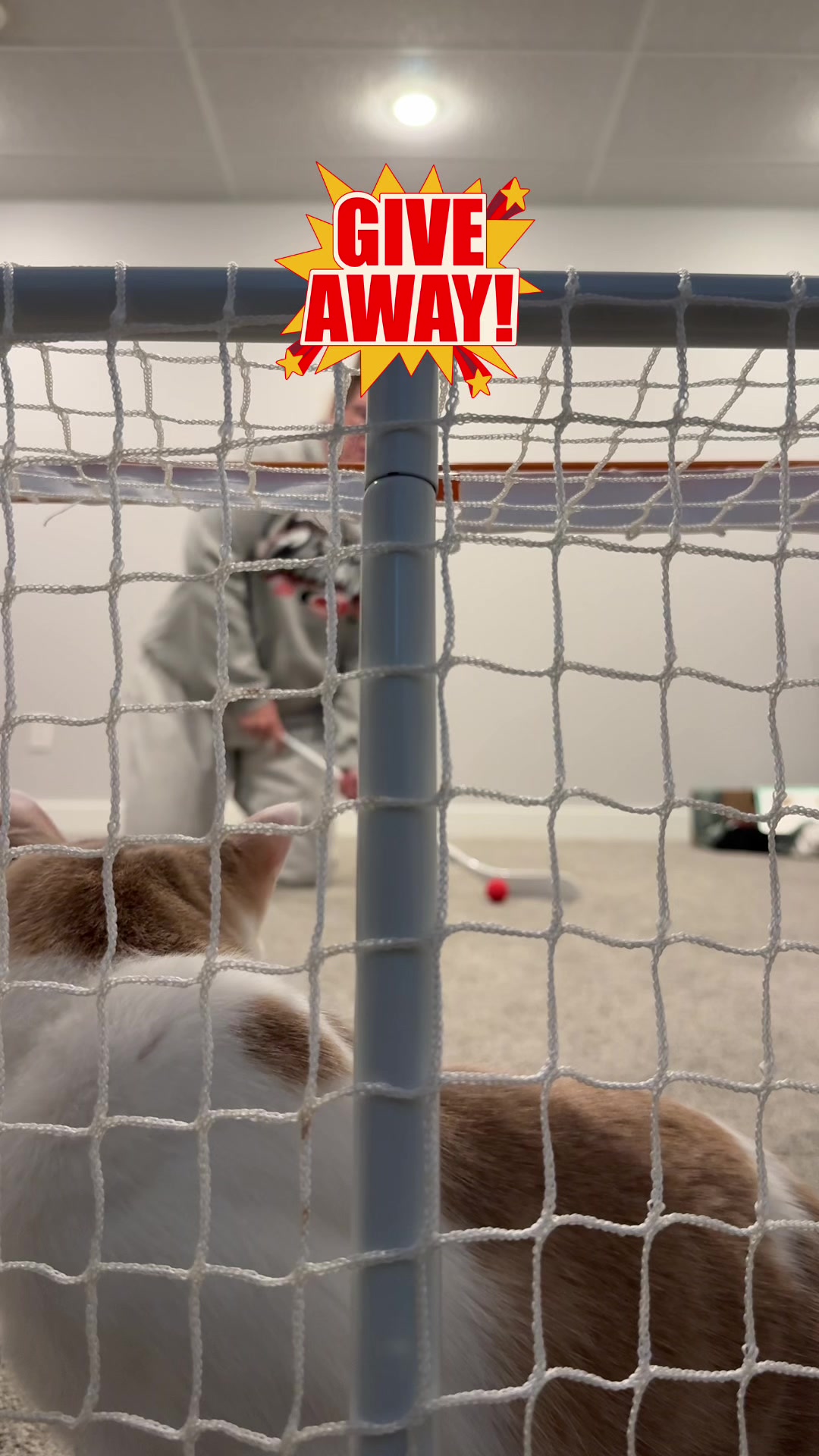 @DreamHockey