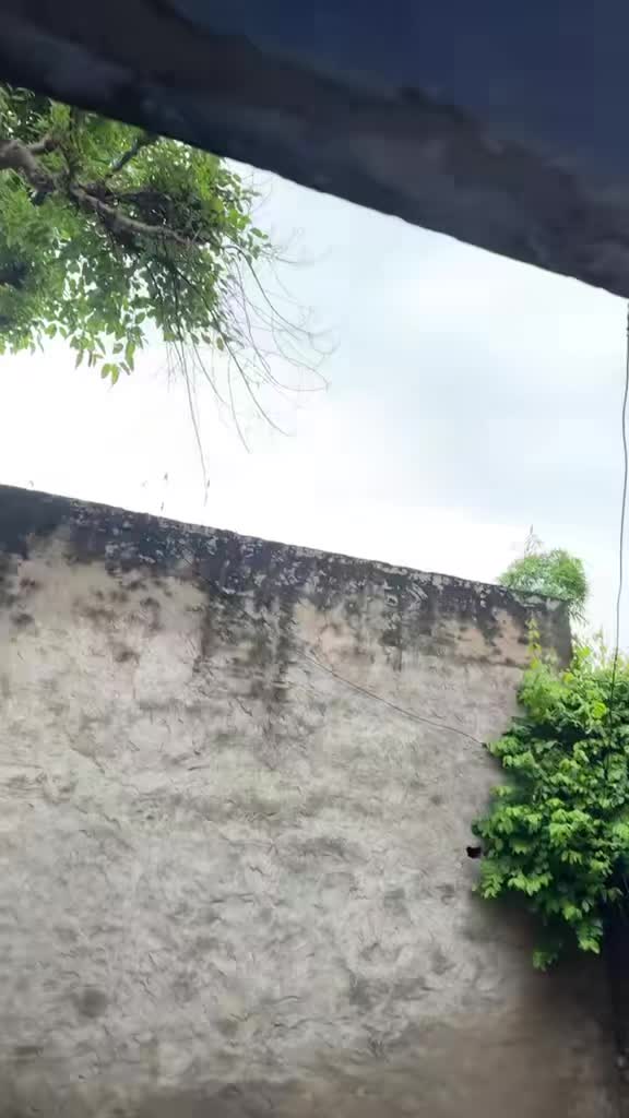 @Dipanshi