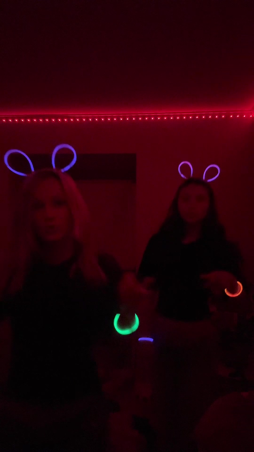 @hedvigsrandom