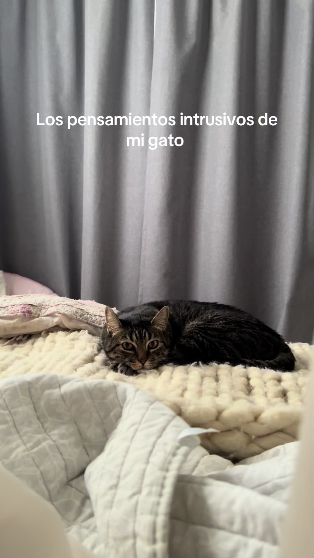 @Anto Teves