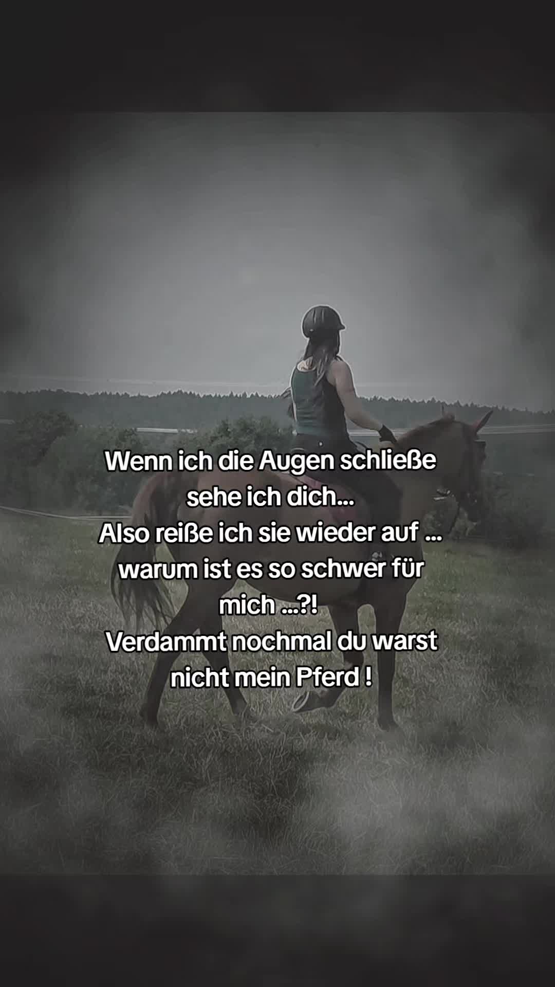 @Keckskrummel🍪