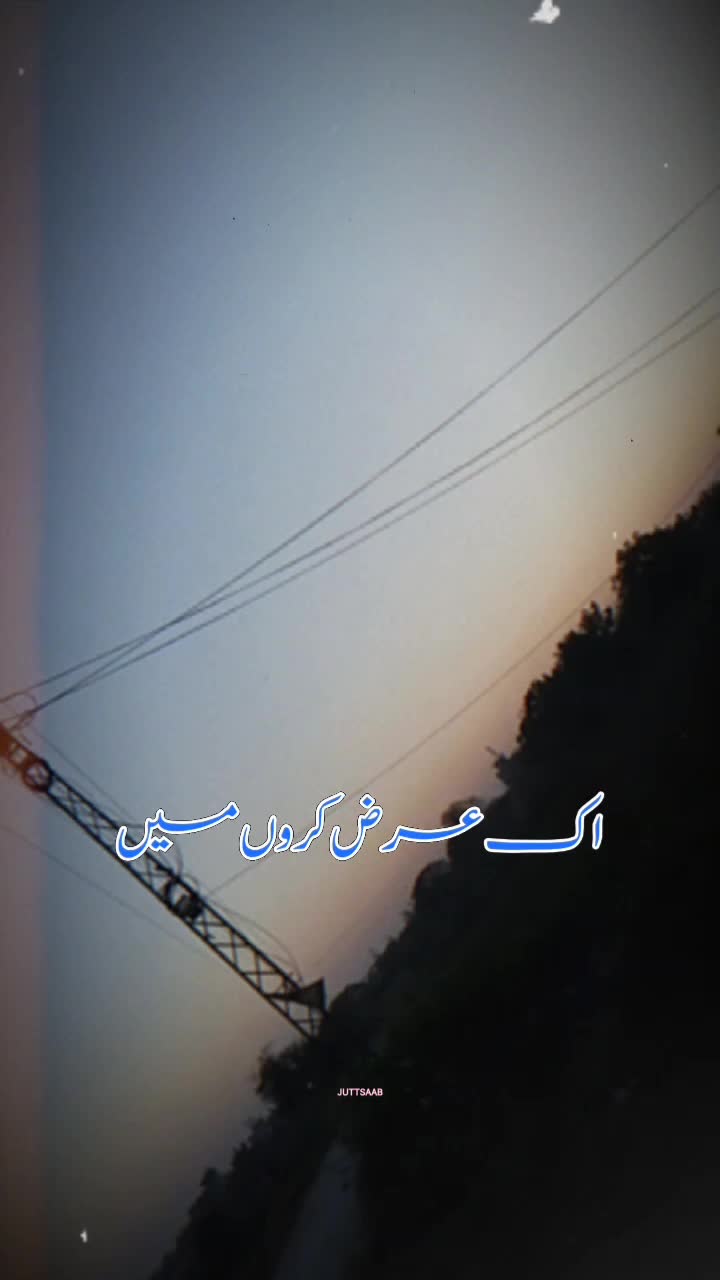 @Zahra Hussain