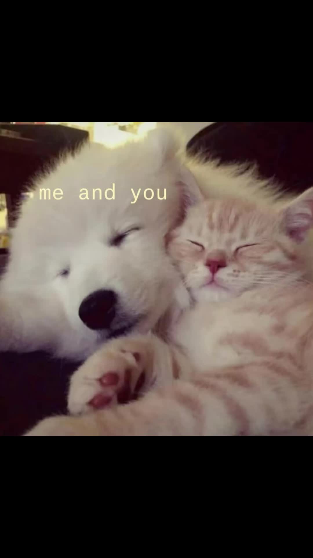 @!?
