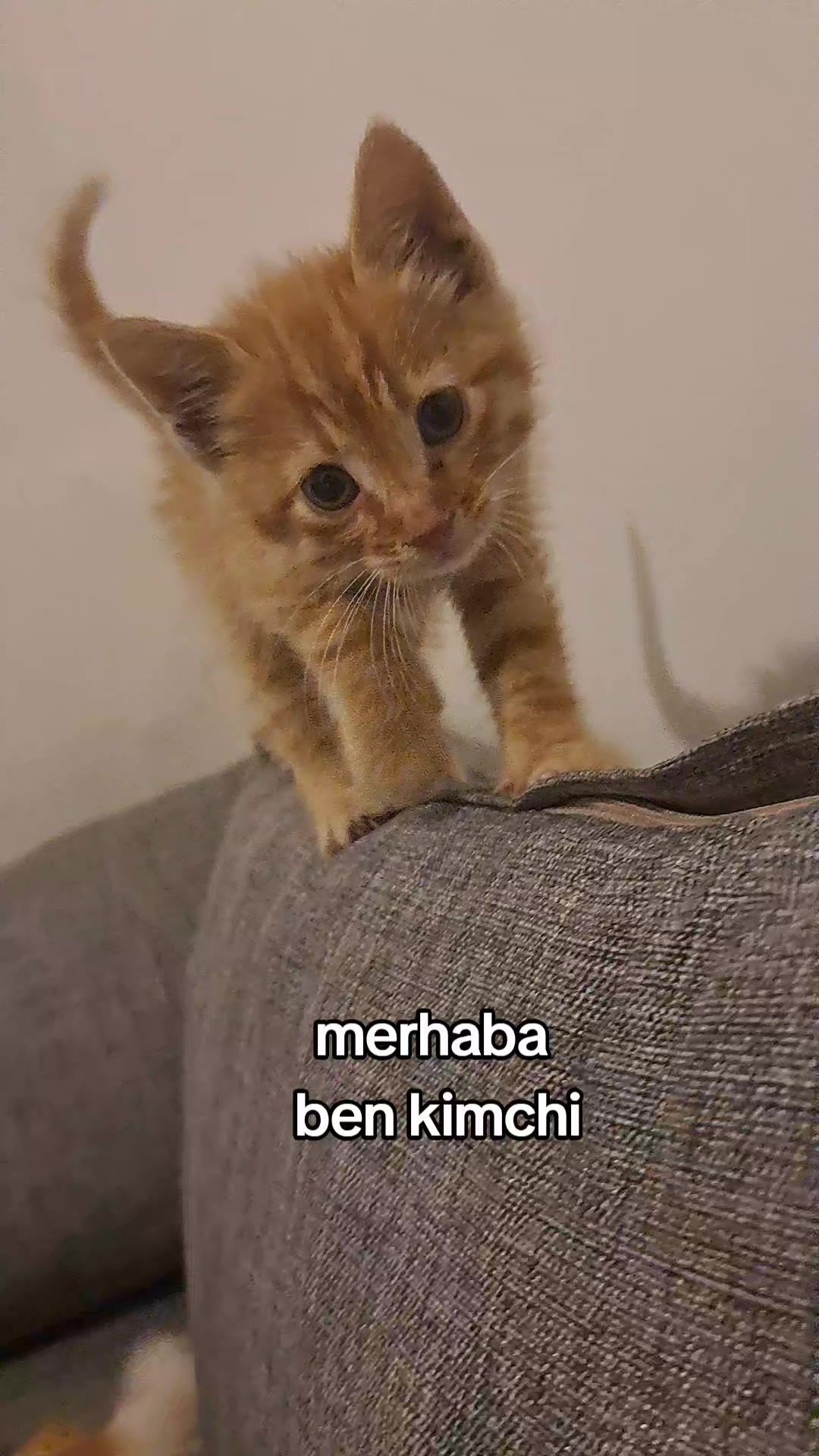 @Ayşe