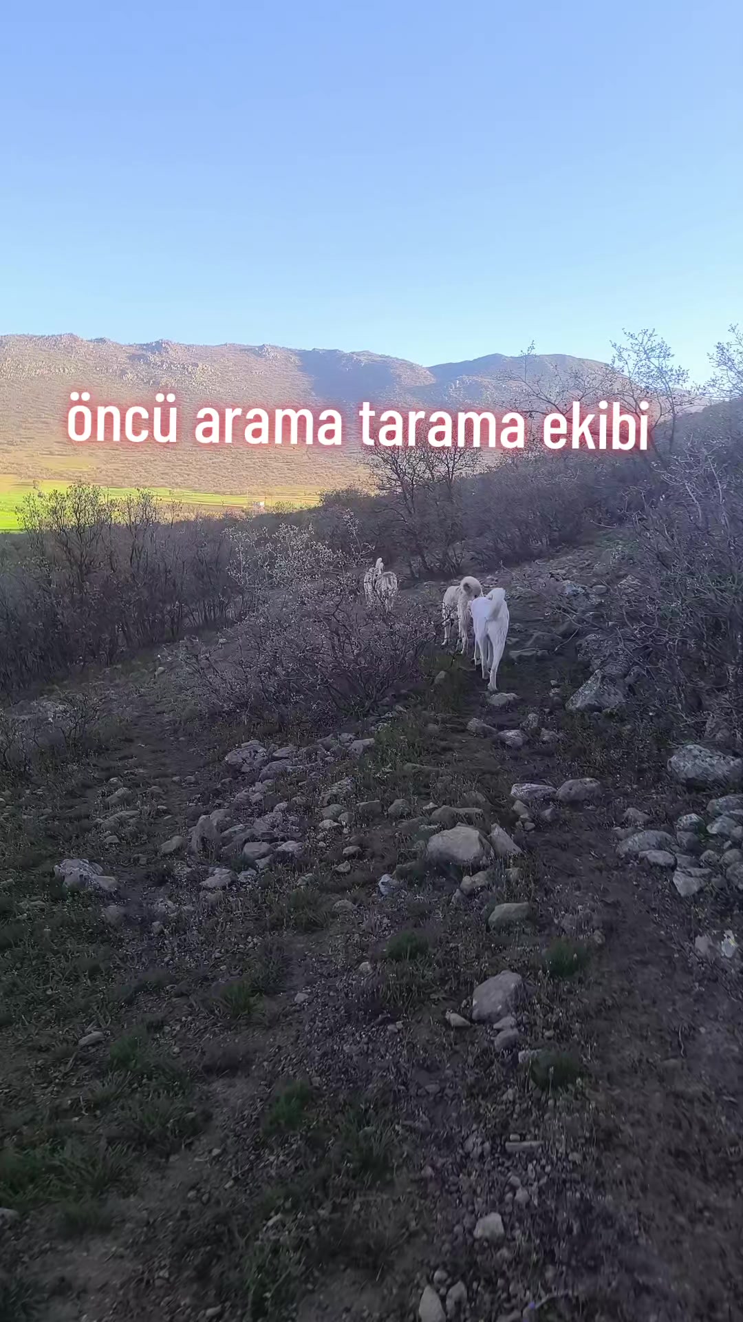 @Hakan demir ⁵&sup1; NİĞdeli ⁵&sup1;