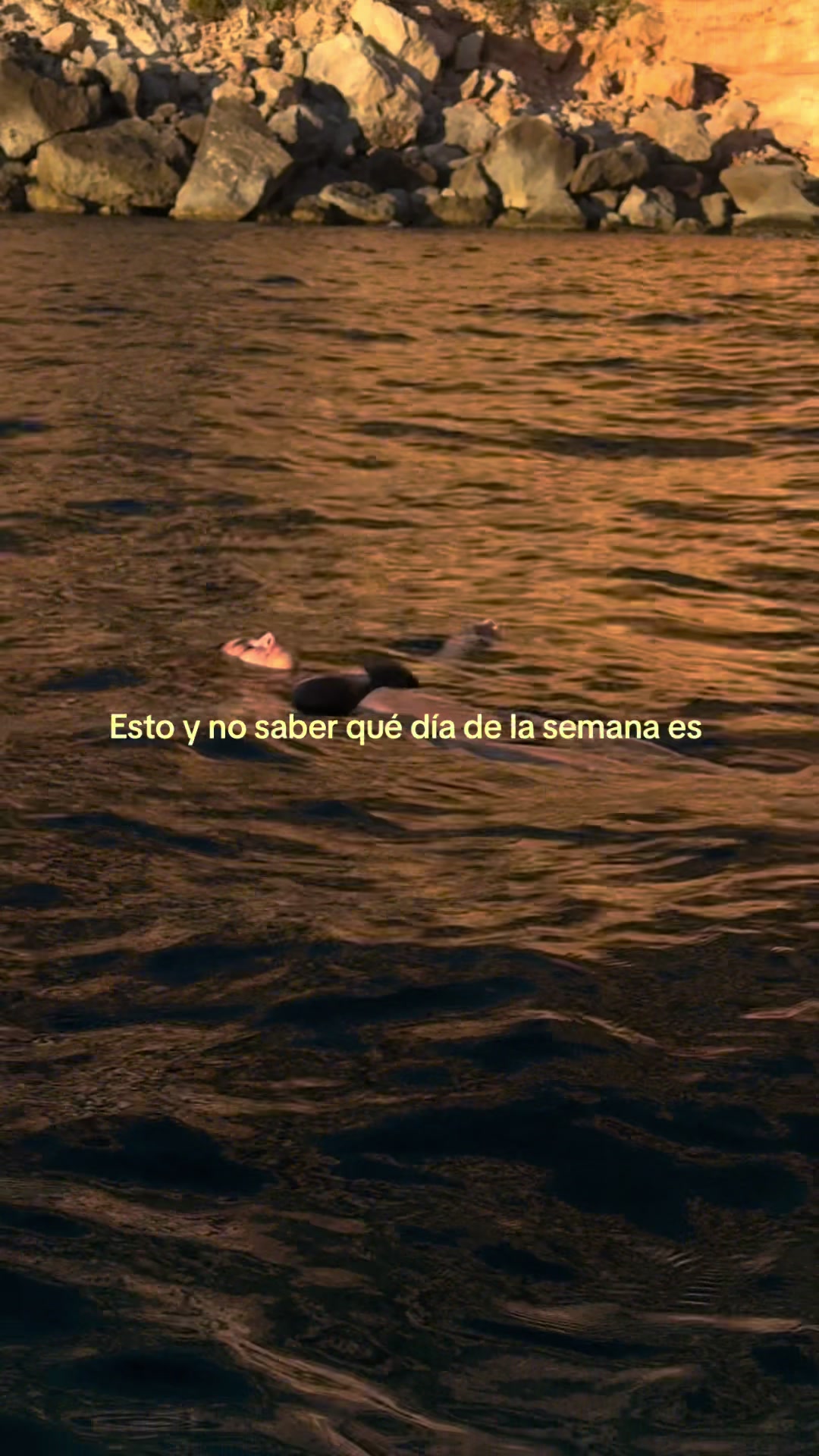 @andre
