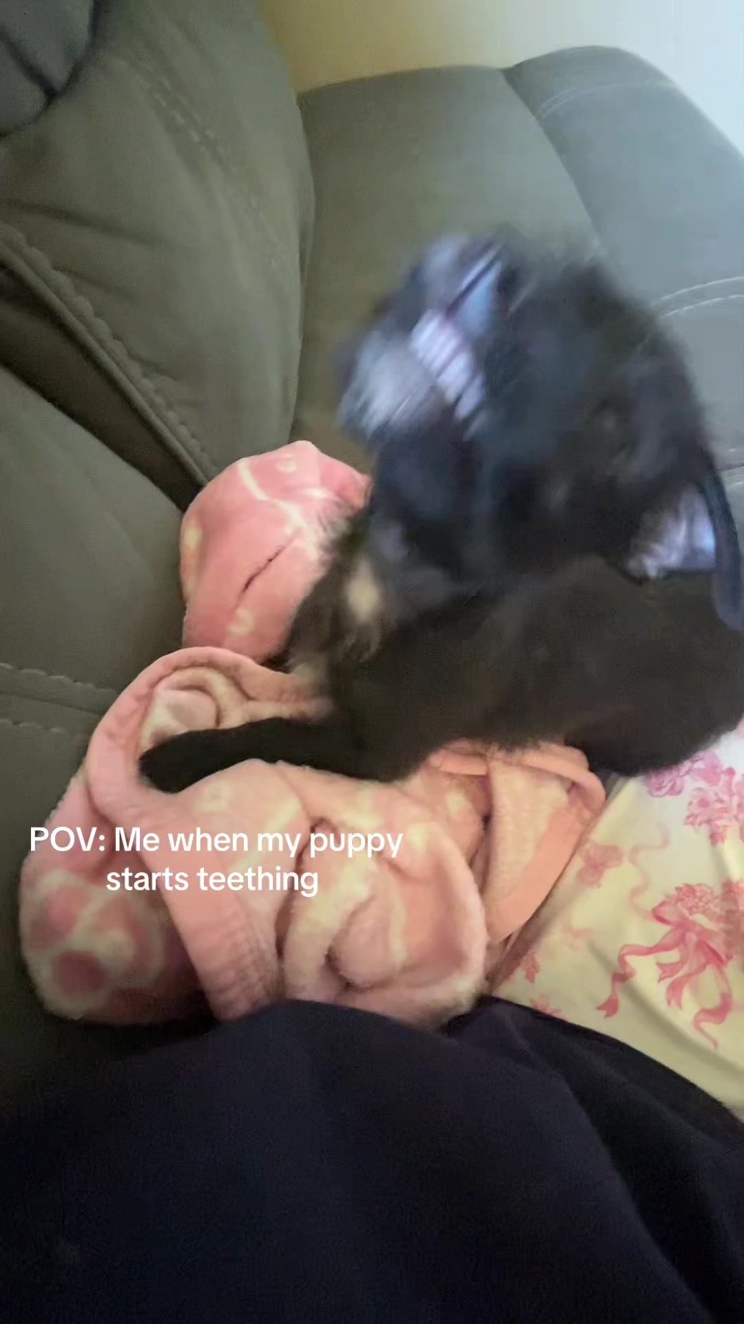 @๐ฅ๐ถ๐ธ๐๐พโฏ