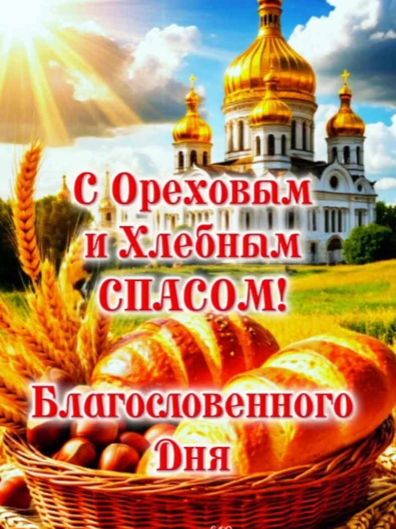 @❀︎ oxana_ok10 ❀︎