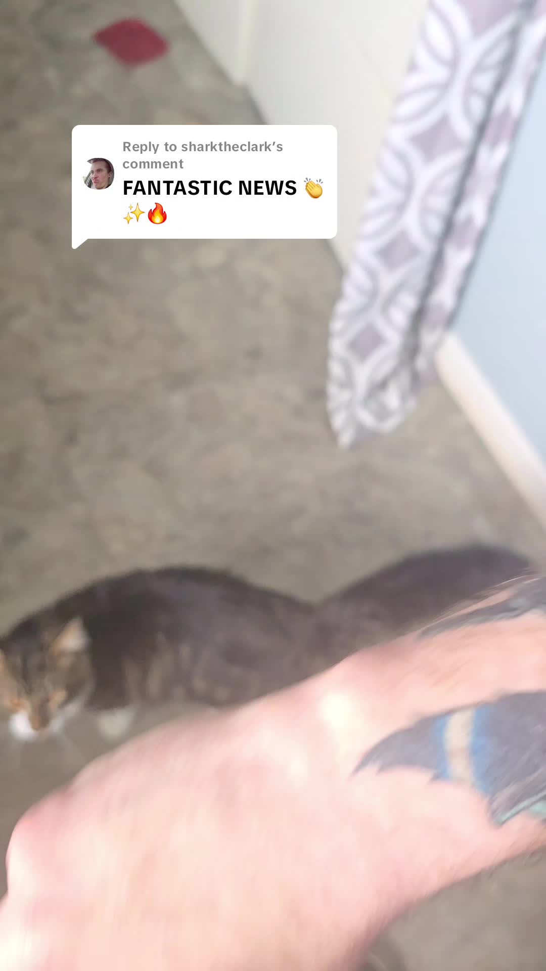 @EVtrnrchris