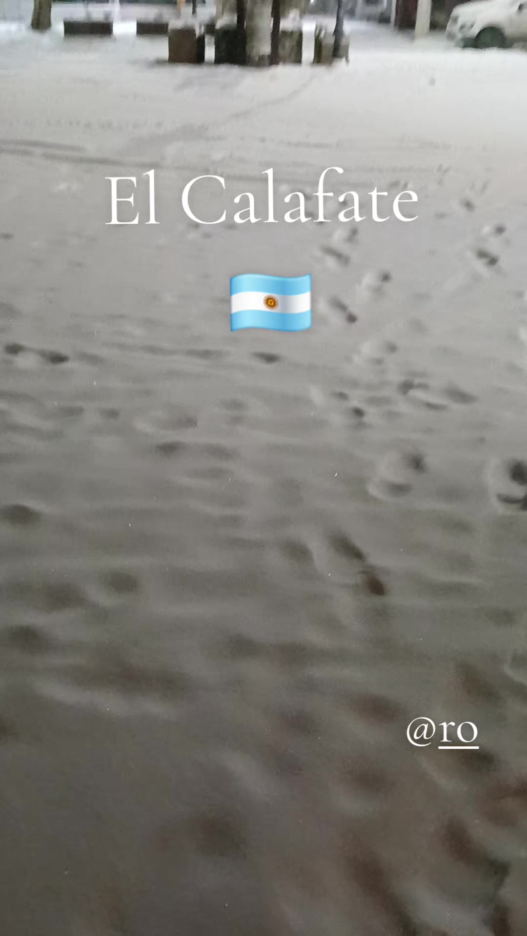 @alejandra