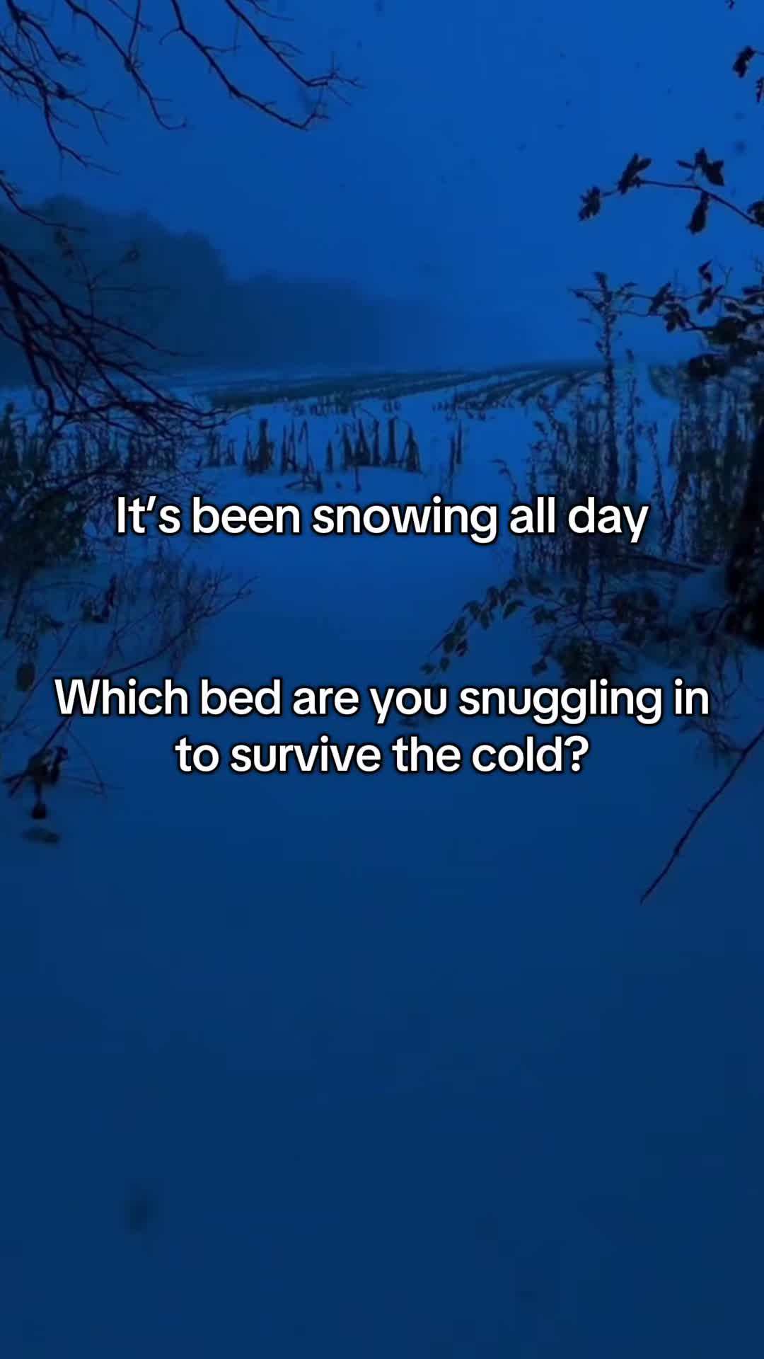 @Cozycorner