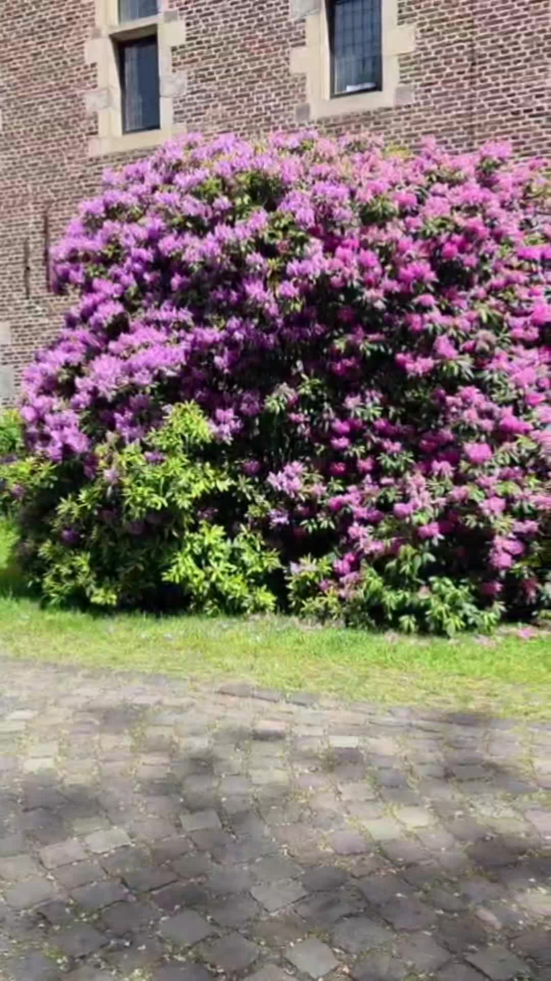 @المهندس