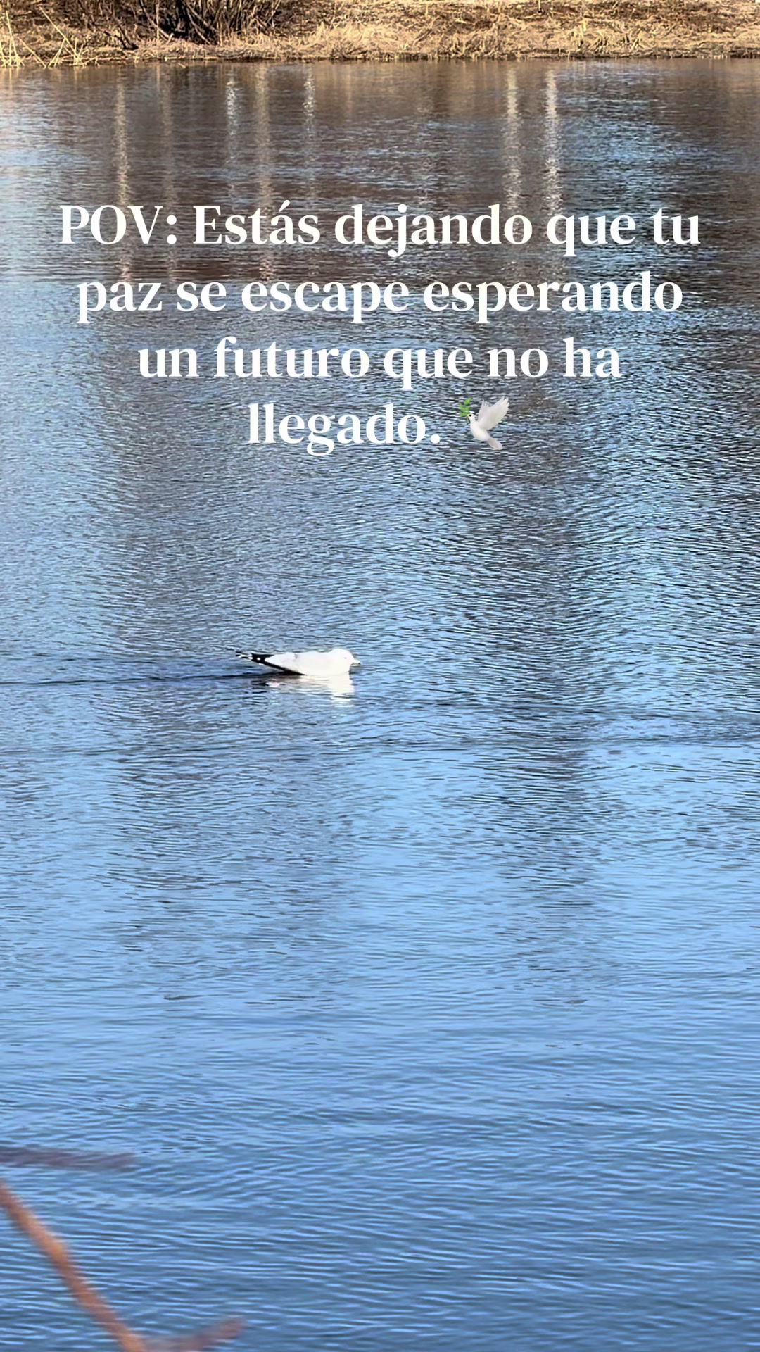 @Emanuel Santander |Reflexiónes
