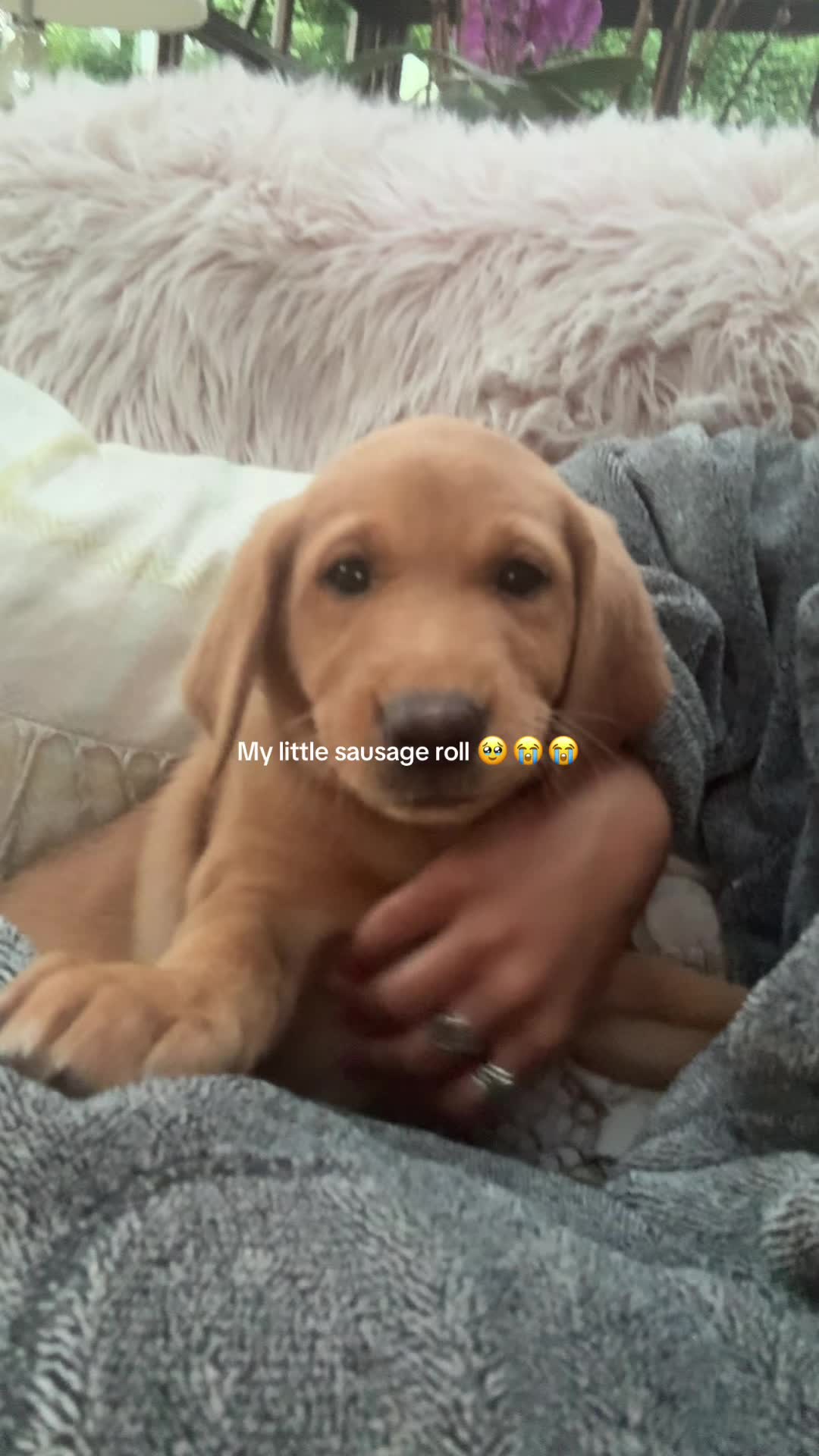 @Abbiecado