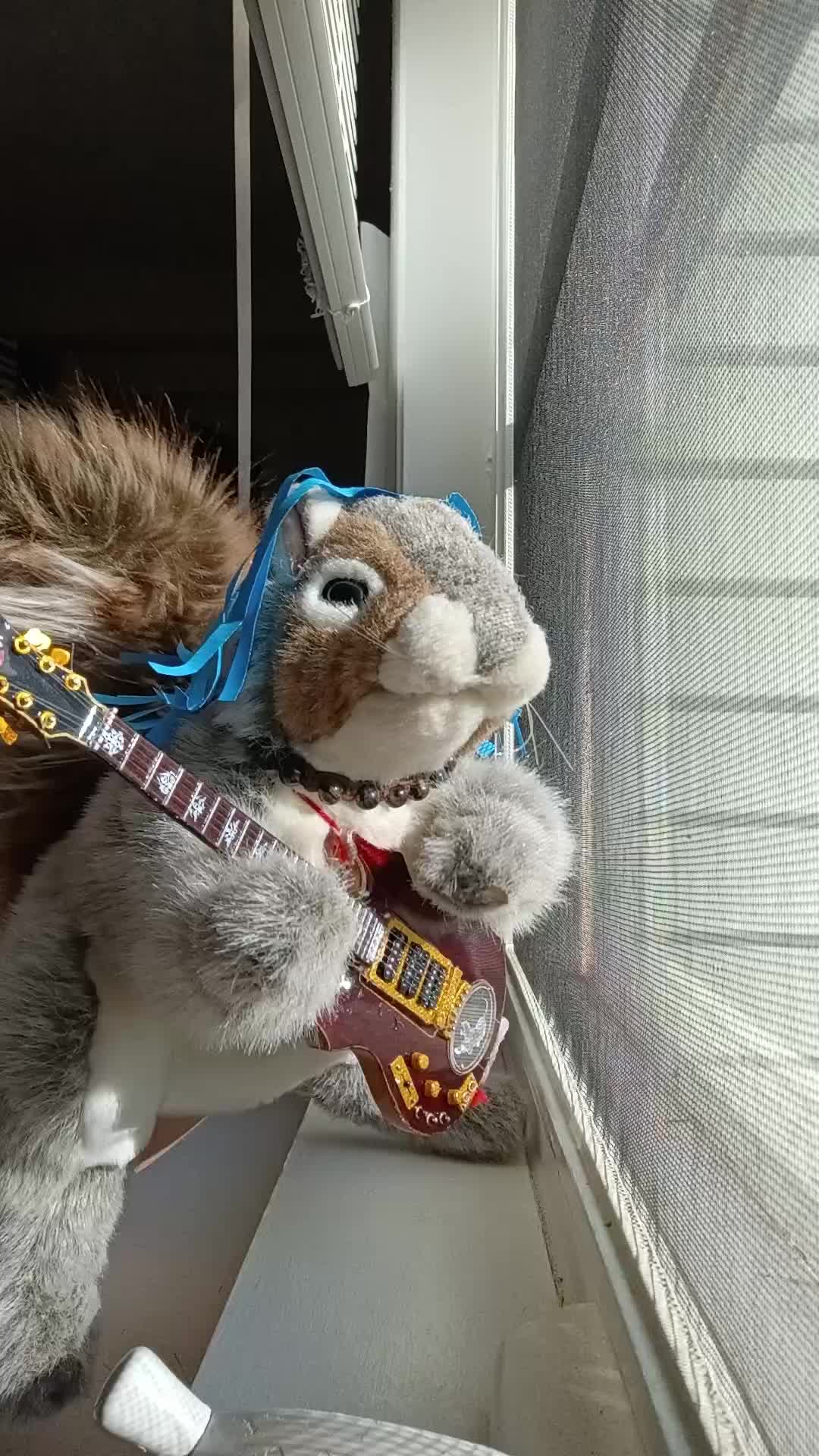 @Charles The Squirrel