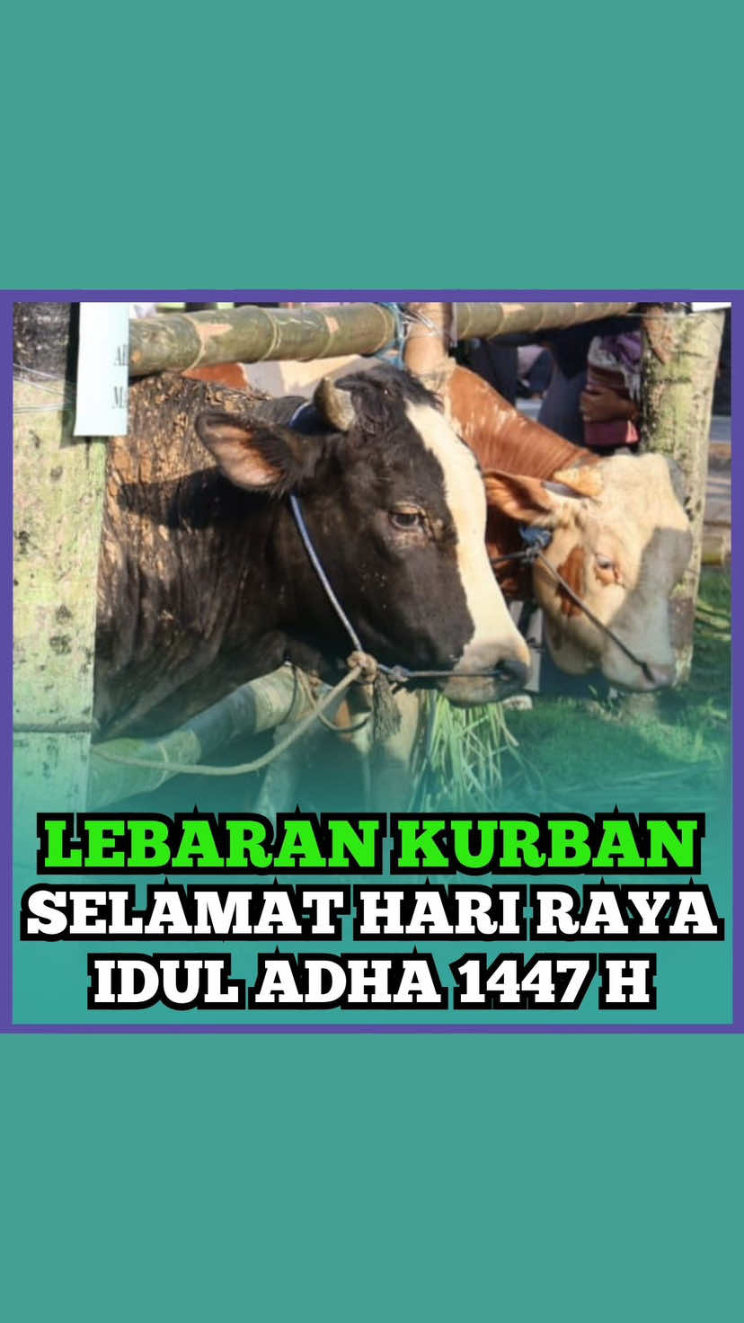 @Arief Rohman