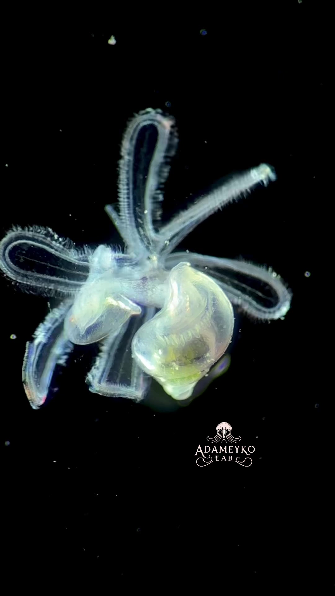 @The_story_of_a_biologist