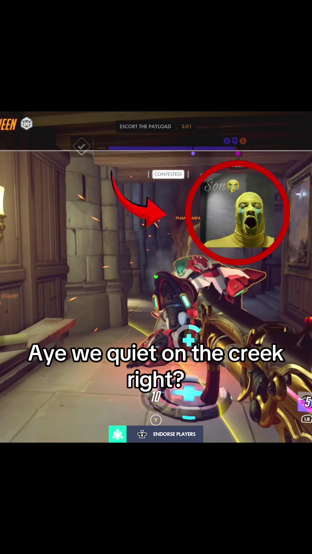 @AlleyCat_ow