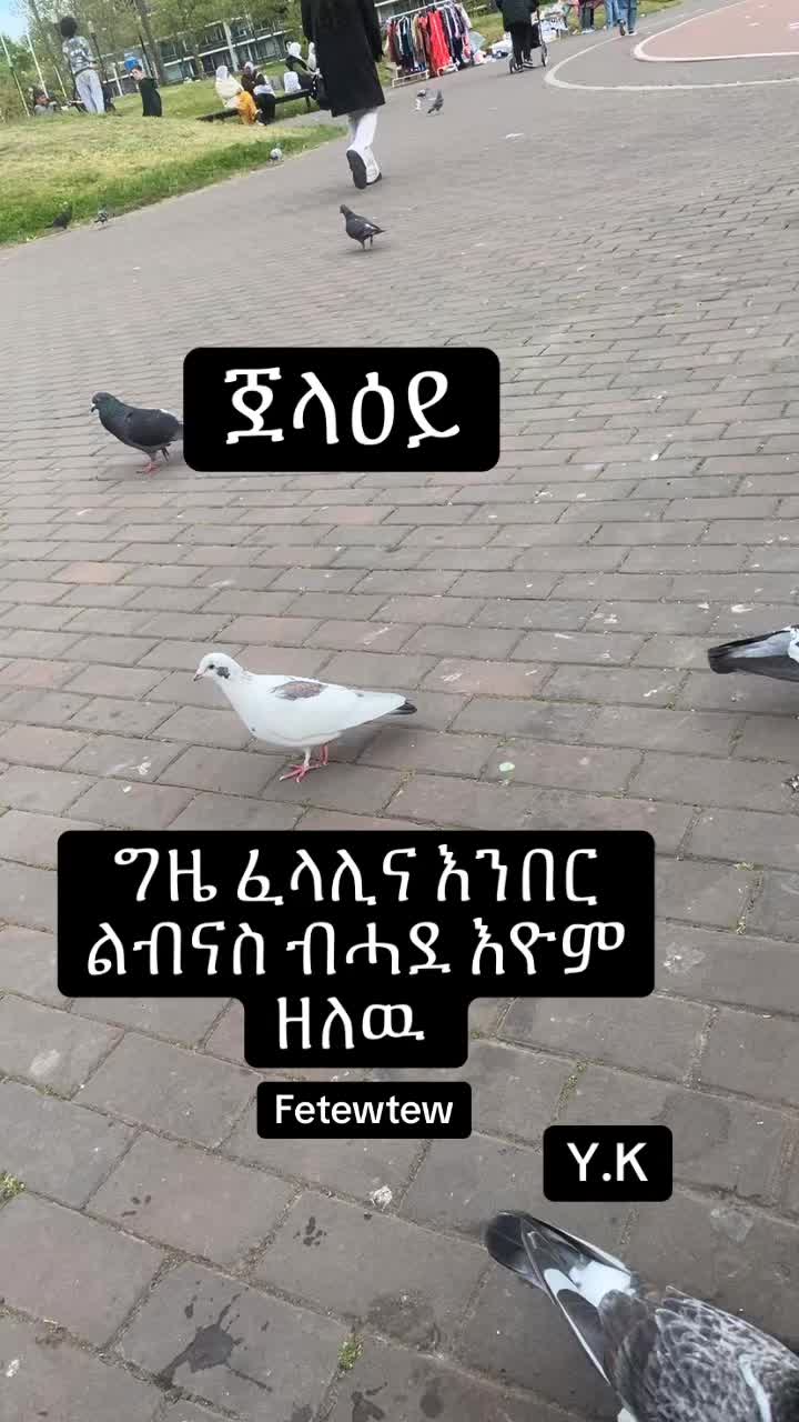 @EritreanStyle 🔥