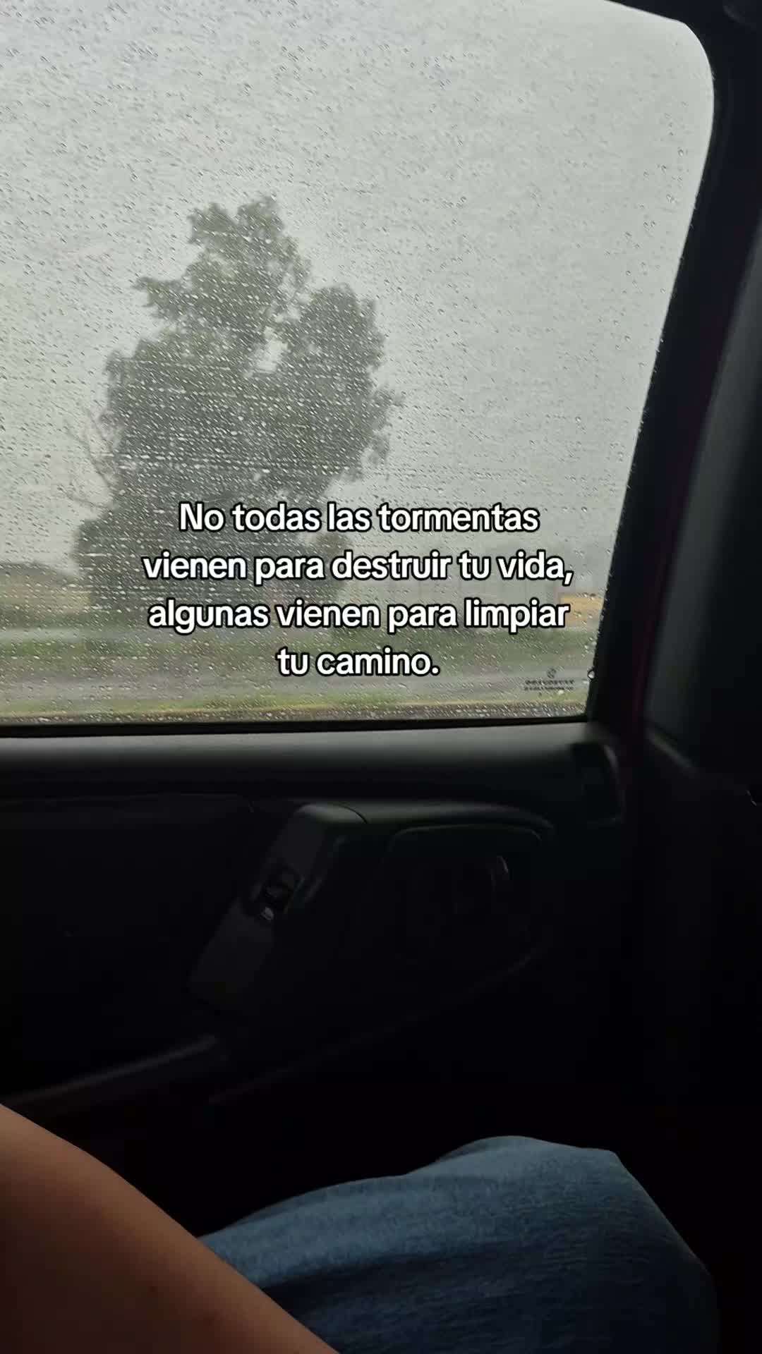 @🎶Marlin❤️