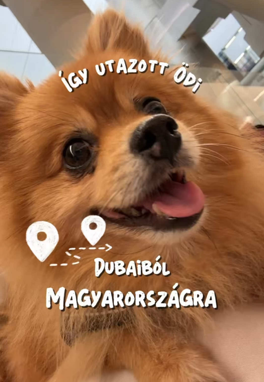 @Dubai Gyerekekkel