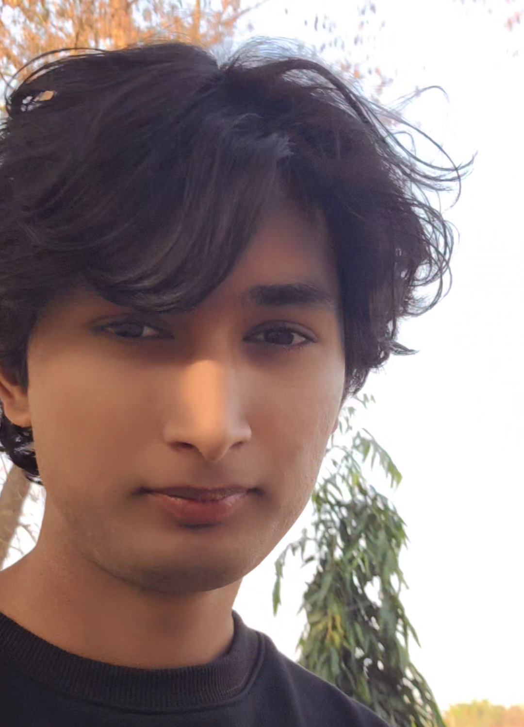 @Ramesh Kanxa