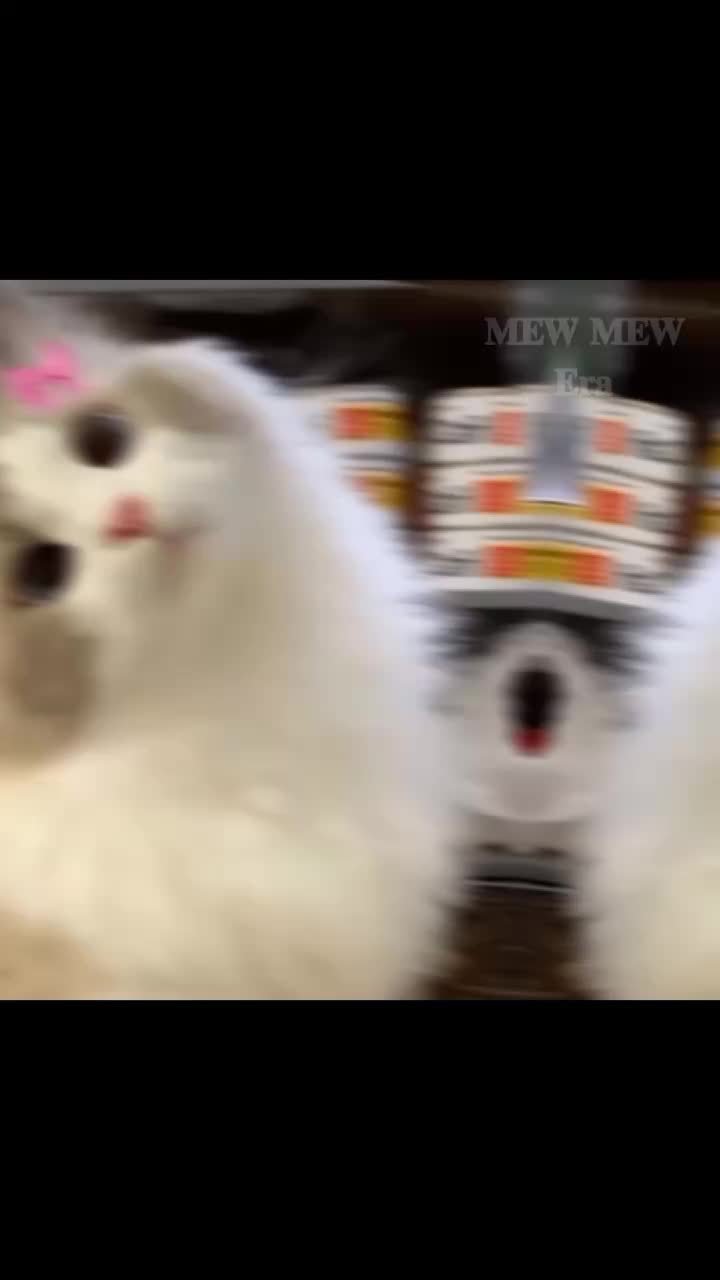 @ᯓ𝐄𝐫𝐚 𝐌𝐢𝐮ᥫ᭡