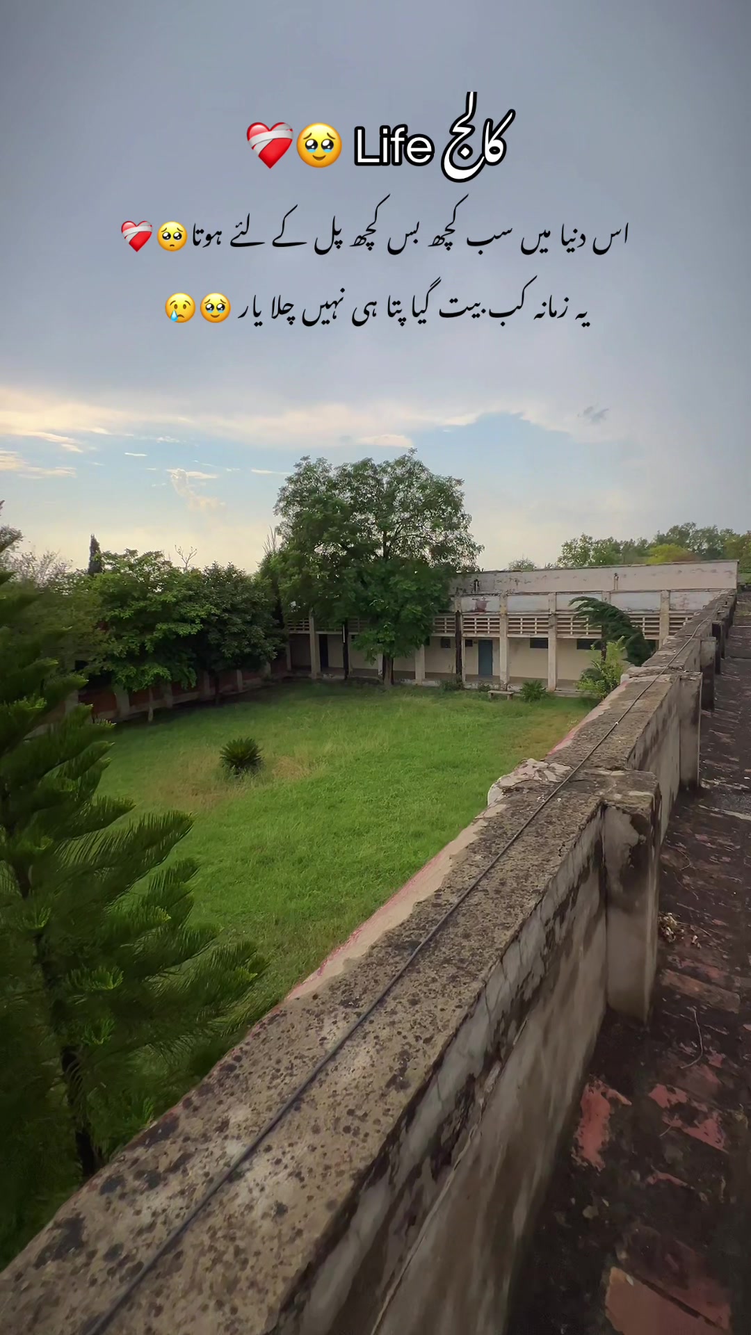 @🍁اپنا تلہ گنگ🦋🌸🥀