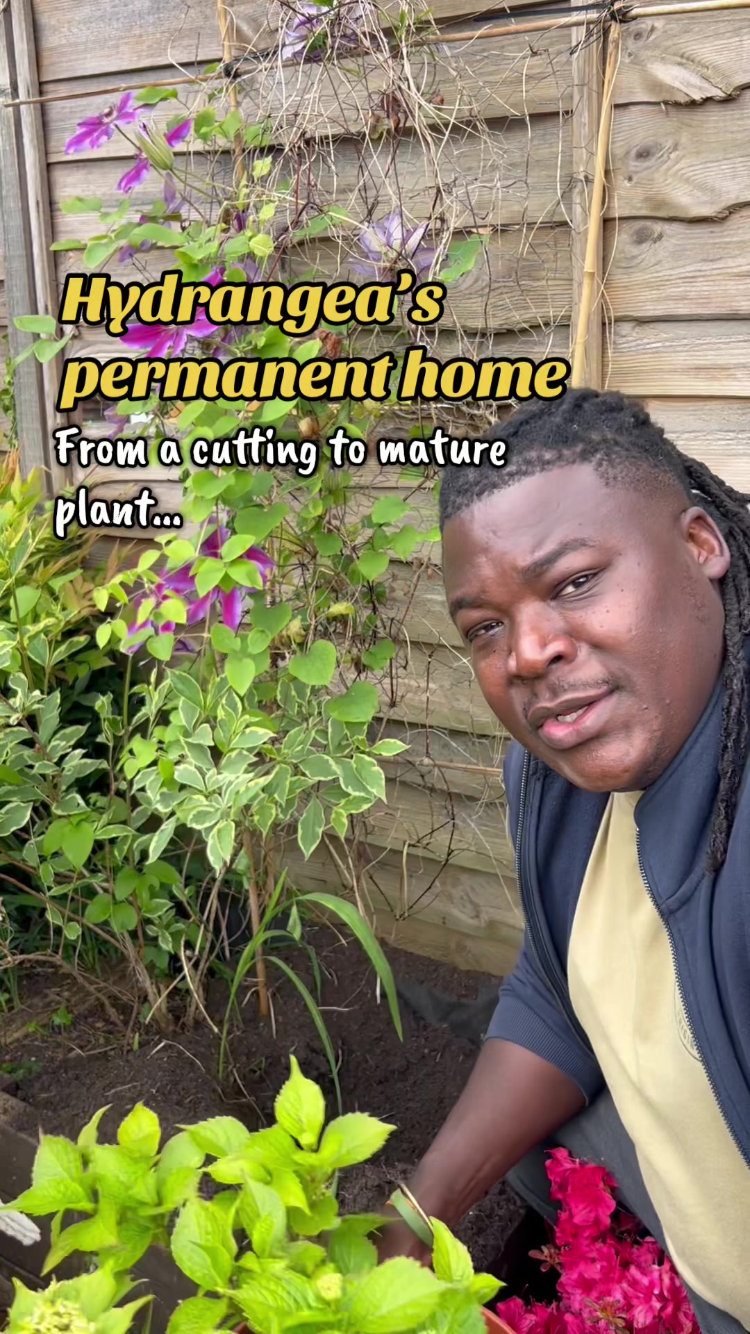@Izwe