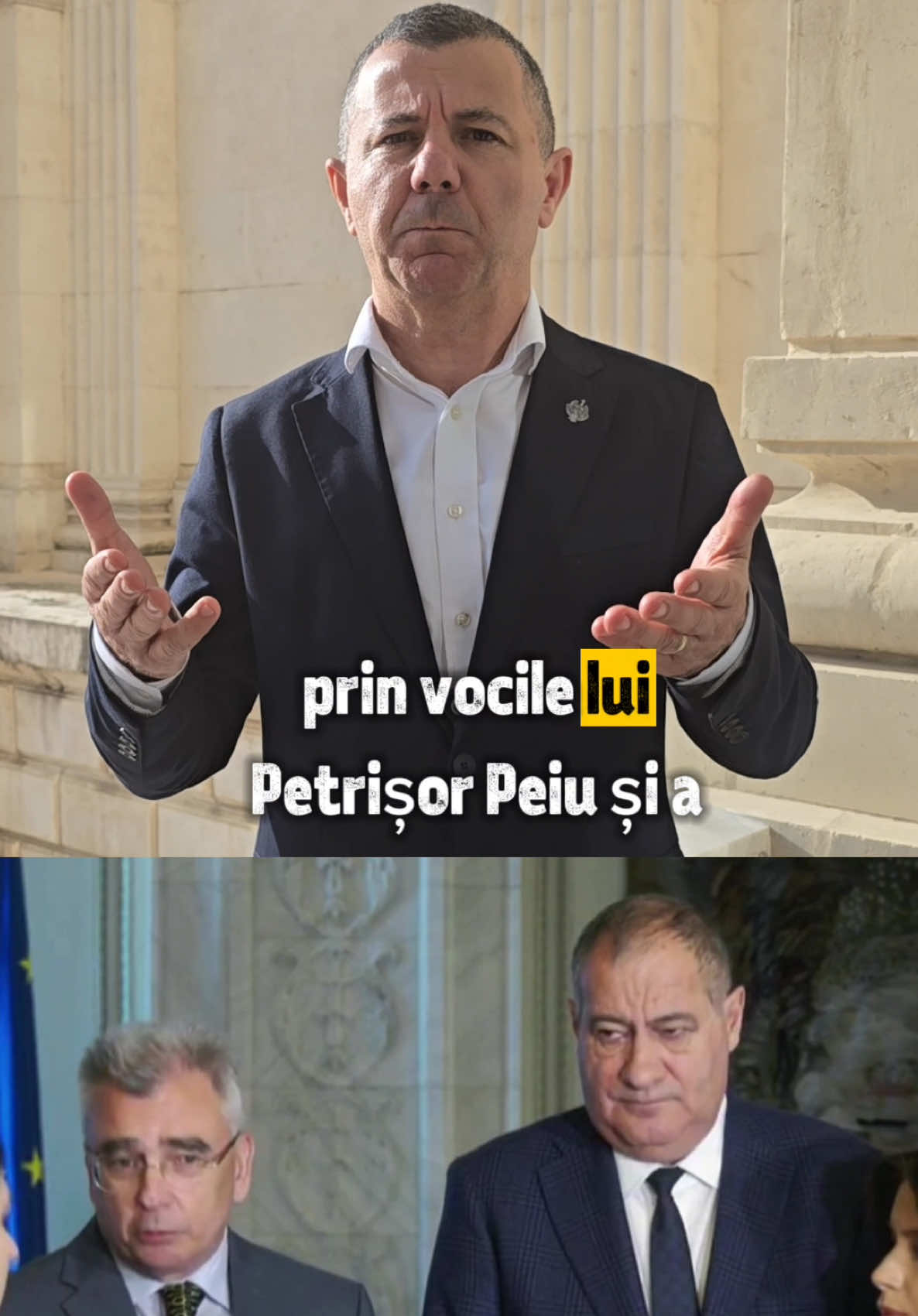 @Narcis Mircescu