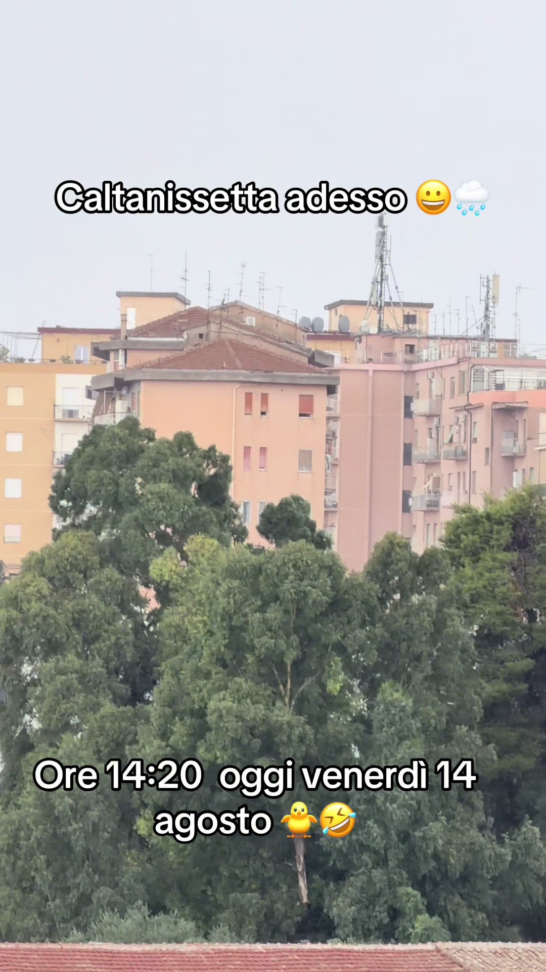 @Graziani.official