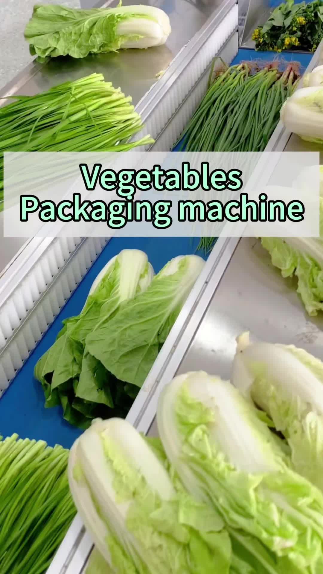 @vegetable.packaging