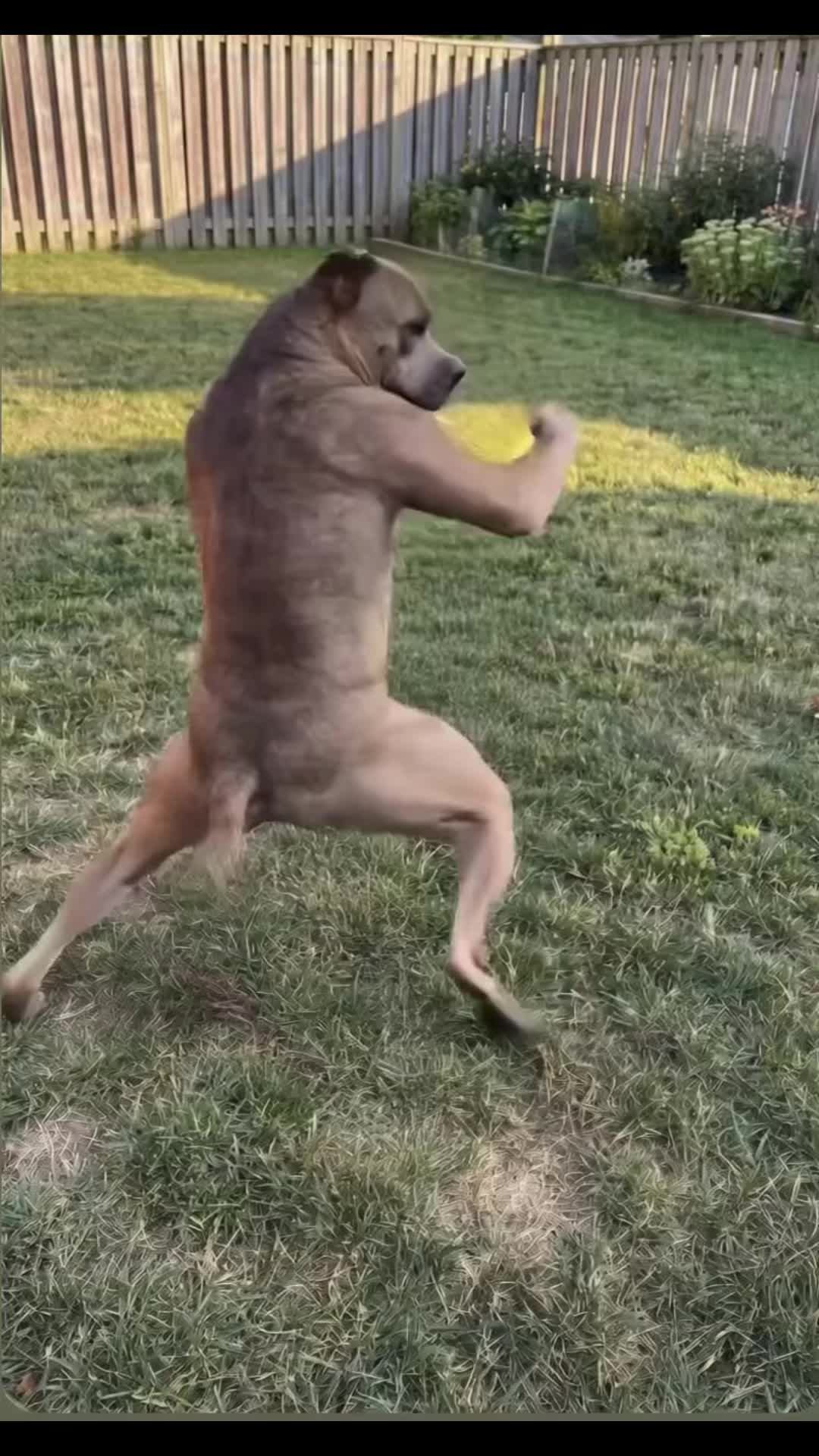 @I am Treyboxer 🥊🦾