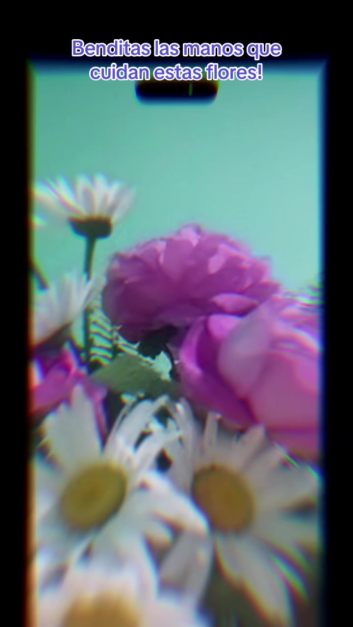 @🌻𝐋𝐮𝐜𝐲🫶🏼 🎤🩵