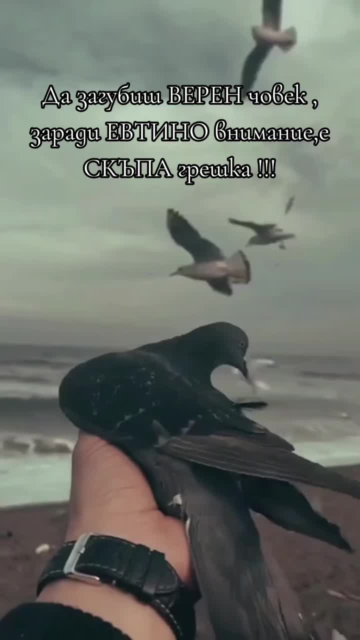 @Милко Иванов