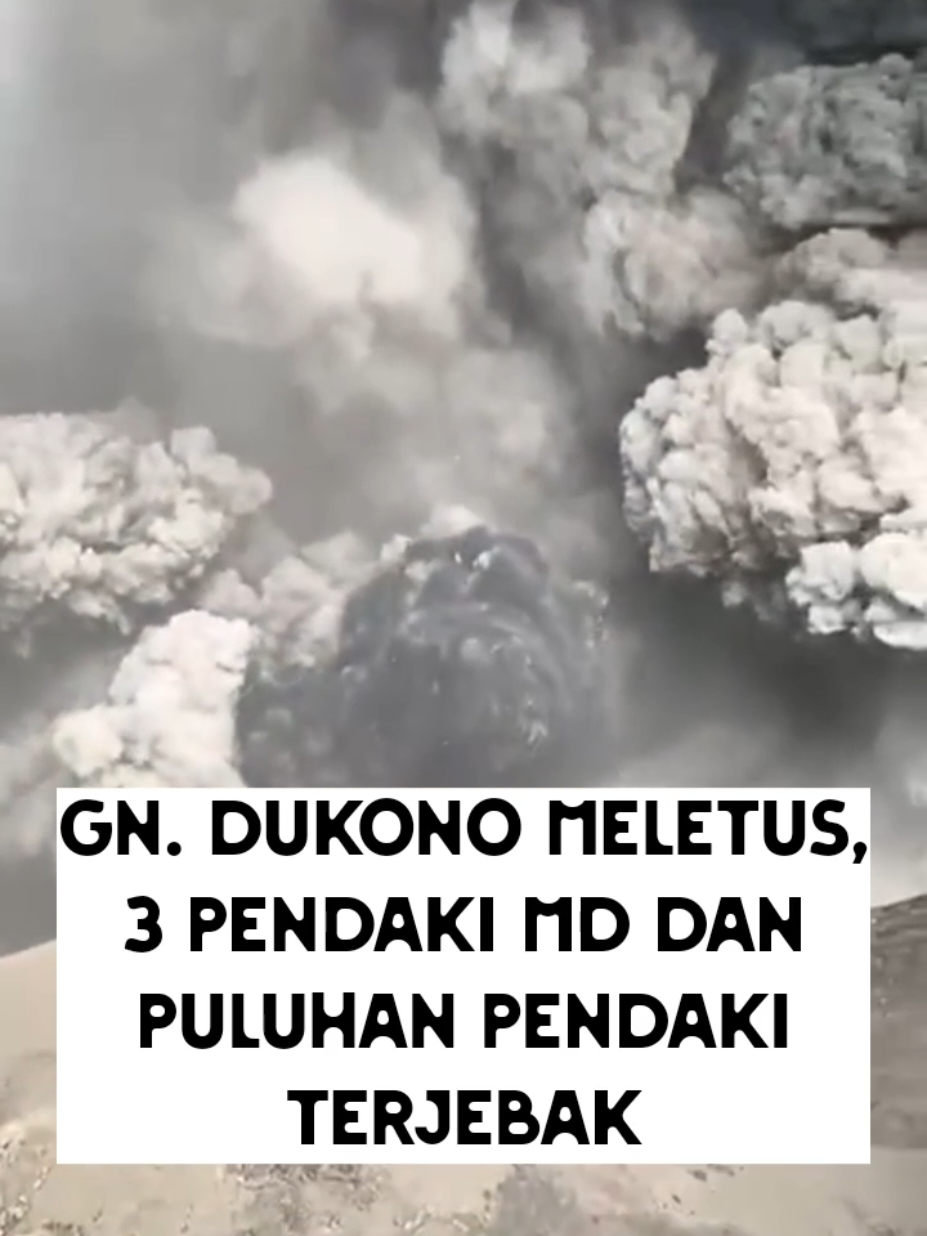 @Jejak Pendaki