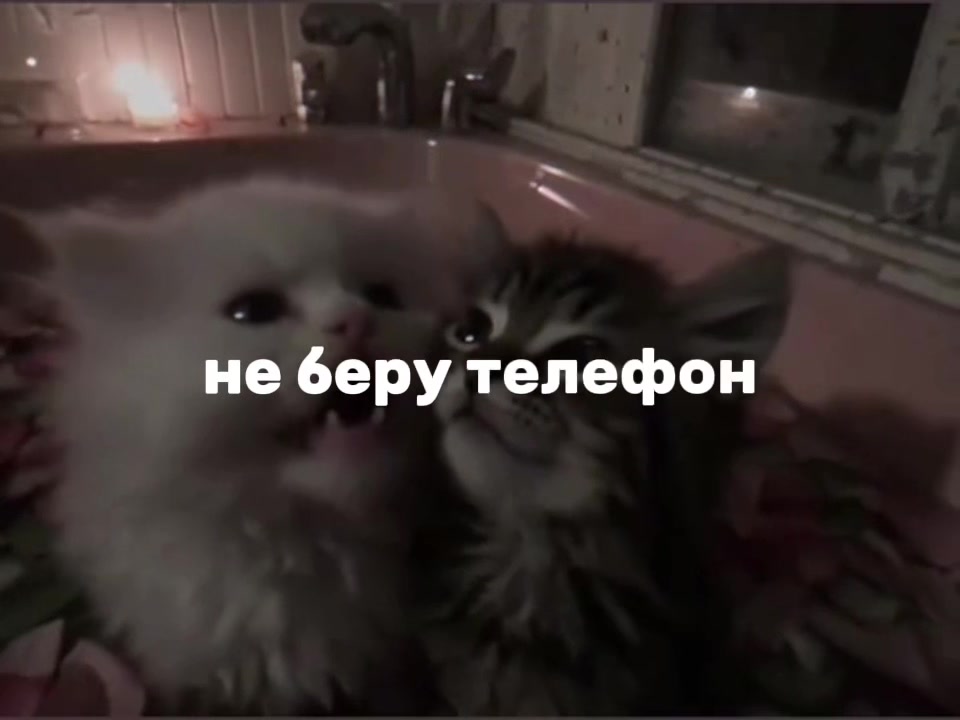 @тгк: лэйфи