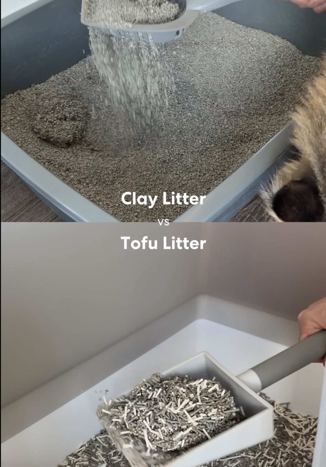 @Tuft & Paw