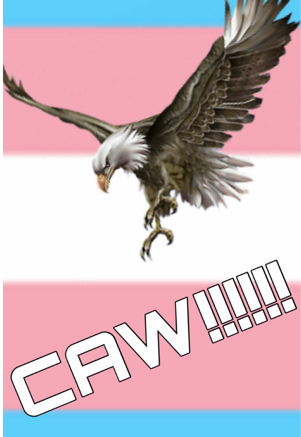 @fawks