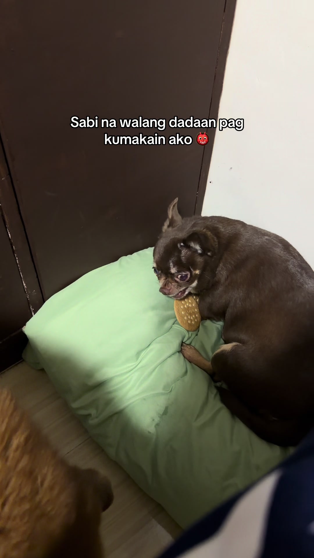 @Bambi