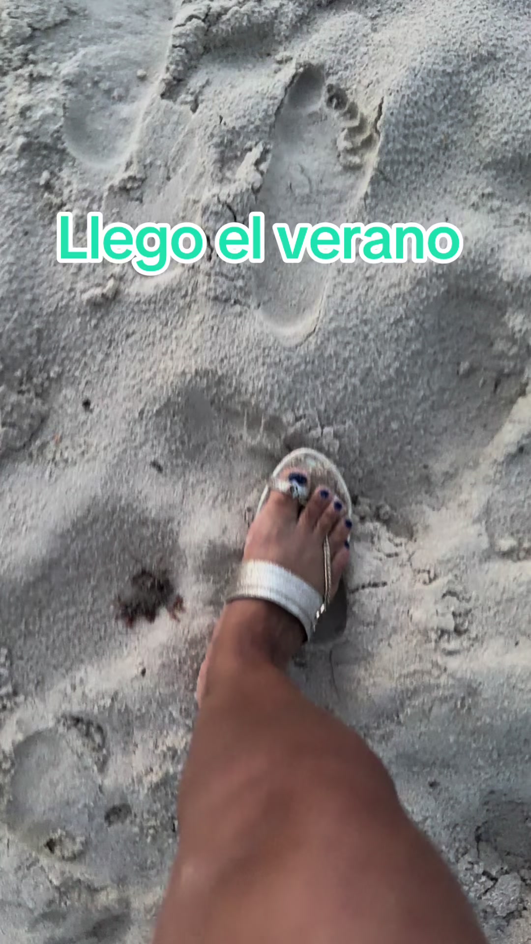 @Gladys Rosado