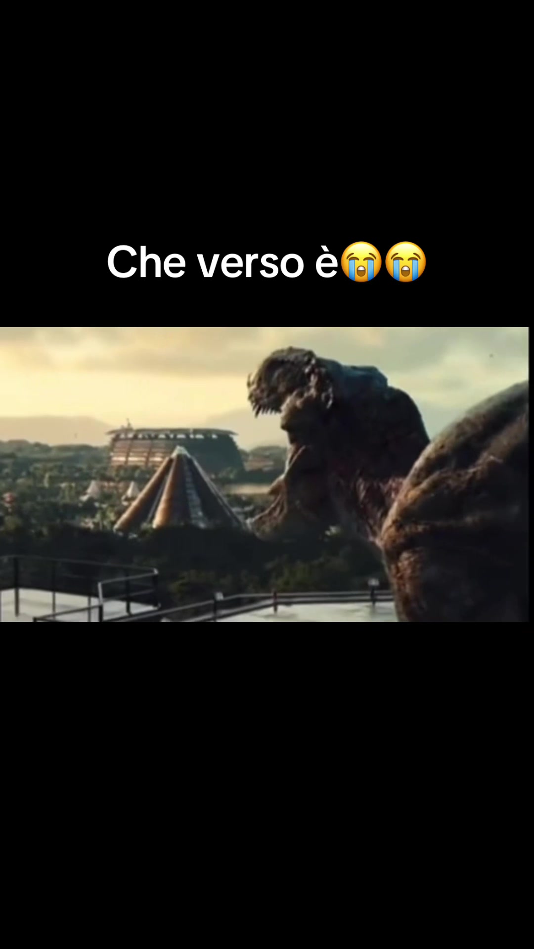 @carlo&giuseppe