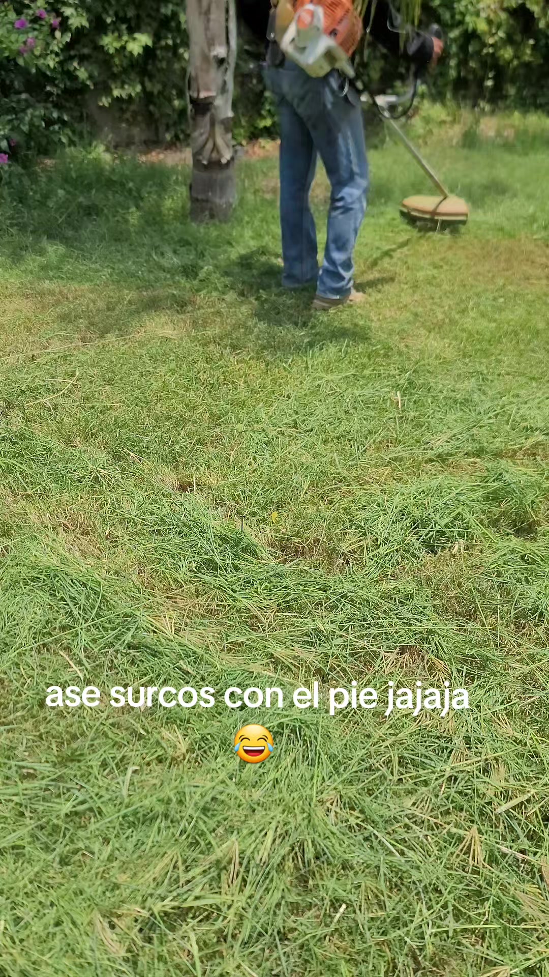 @Carlos Martínez