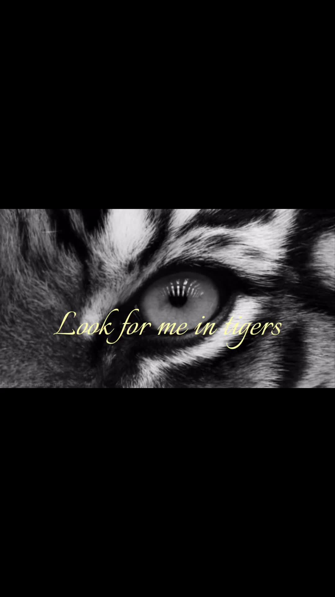 @tigress.empress_nnq