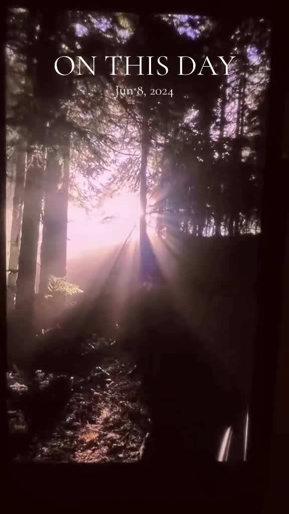 @capricornsunshine31❌🌞✨🌹