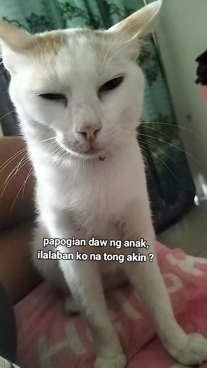 @tambokikay08