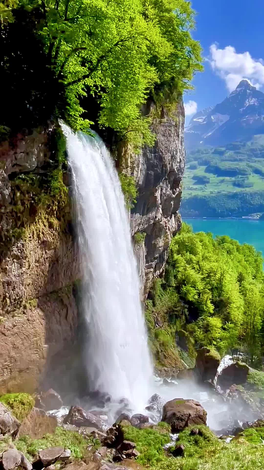 @Ivi Swiss 🇨🇭Czech 🇨🇿