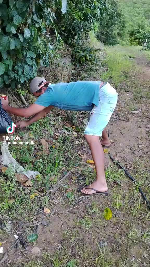 @Remedios