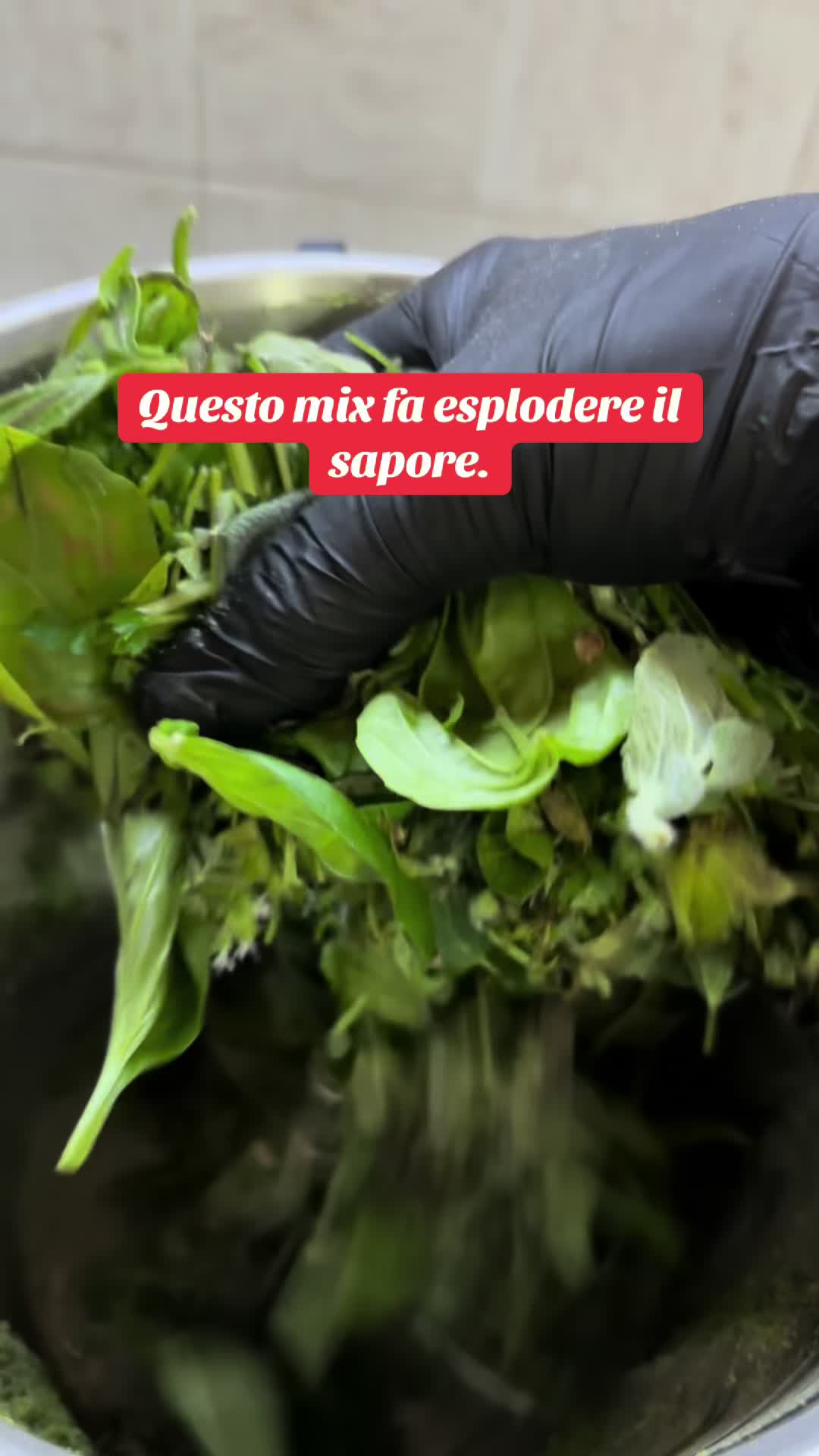 @animaincucina